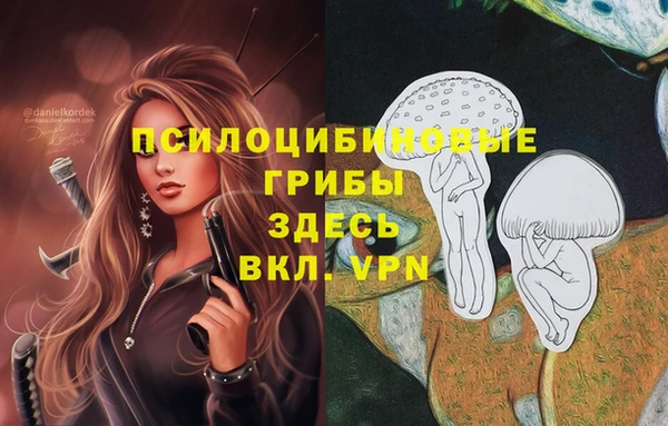 эйфоретик Липки
