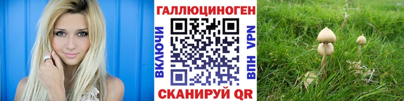 Галлюциногенные грибы ЛСД  Купить  Михайловск 